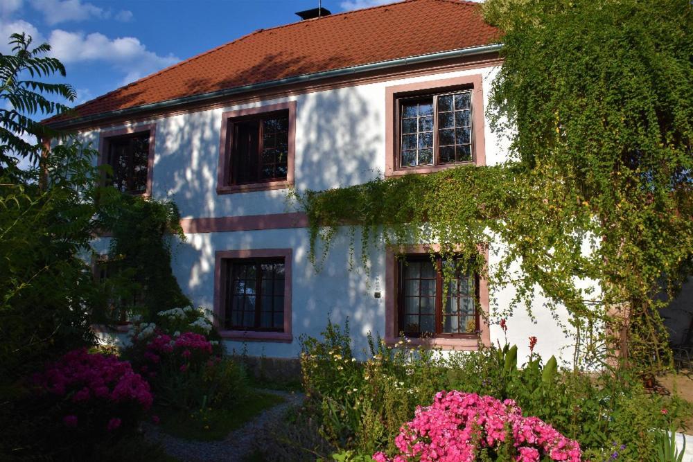 Ubytovani Pod Jilmem Zar Exteriör bild